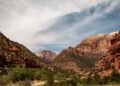 West Rim Trail Zion Complete Hiking Guide