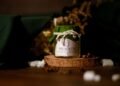 How to Get Rid of Mosquitoes Inside the House Naturally