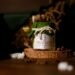 How to Get Rid of Mosquitoes Inside the House Naturally