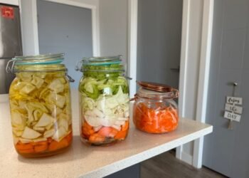 Pickle Brine Ratio The Right Mix for Crisp Pickles