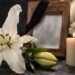 cox-needham-funeral-home-obituaries