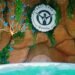 Halotherapy Explained - What Salt Therapy Is, What It Can and Cannot Do, and What a Session Feels Like